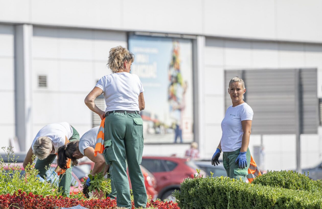 karlovackim ulicama (9) karlovackim ulicama (9)