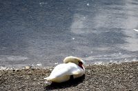 karlovackim ulicama jesen (11)