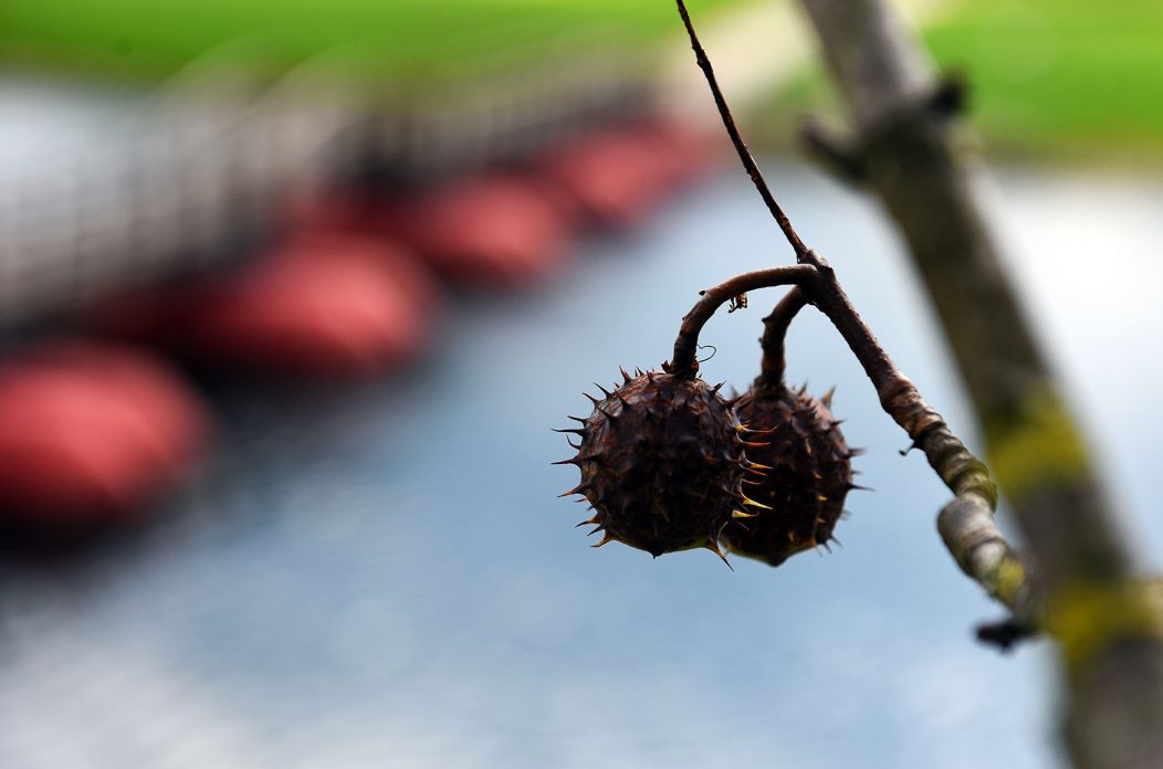 karlovackim ulicama jesen (14) karlovackim ulicama jesen (14)