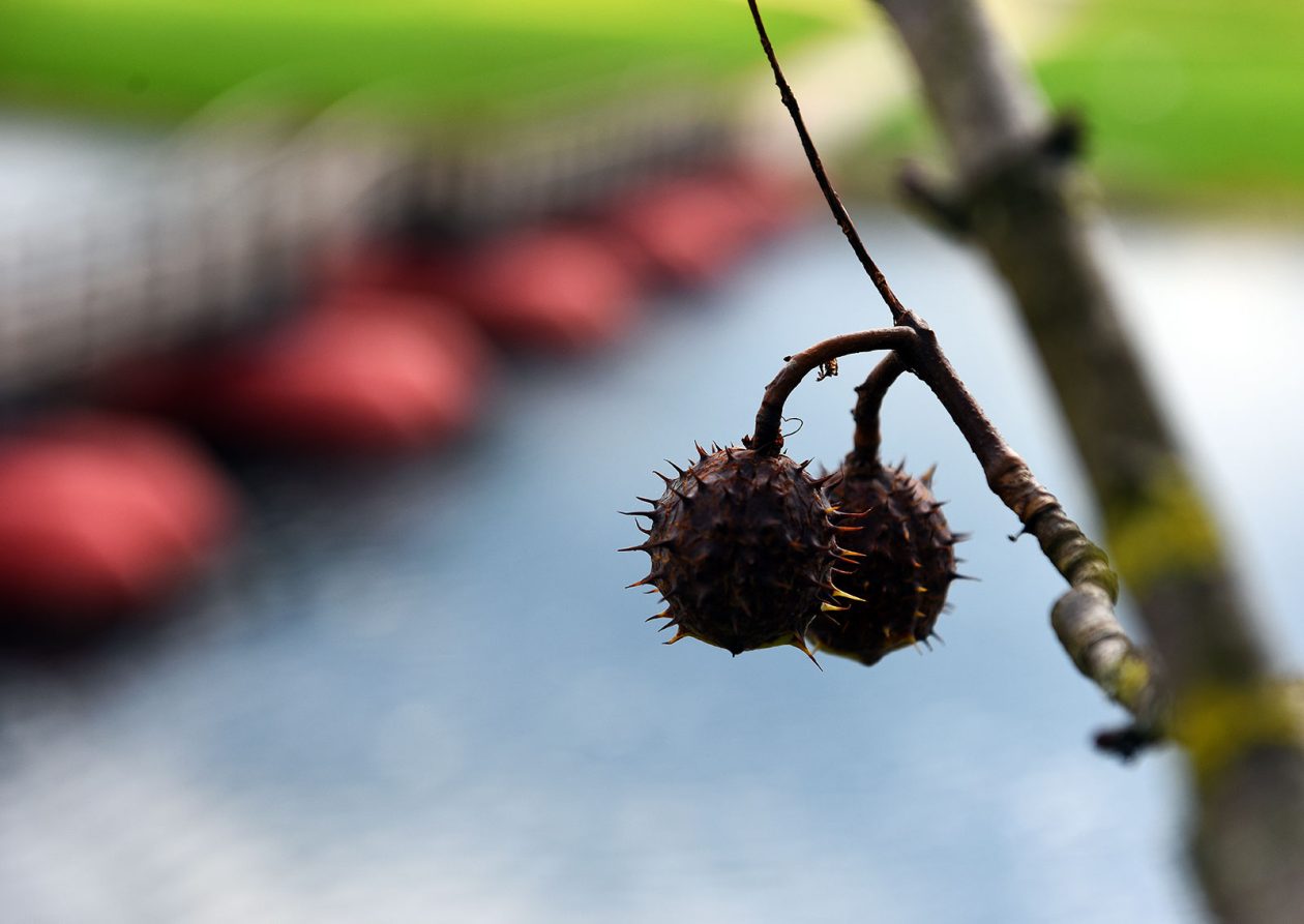 karlovackim ulicama jesen (14)