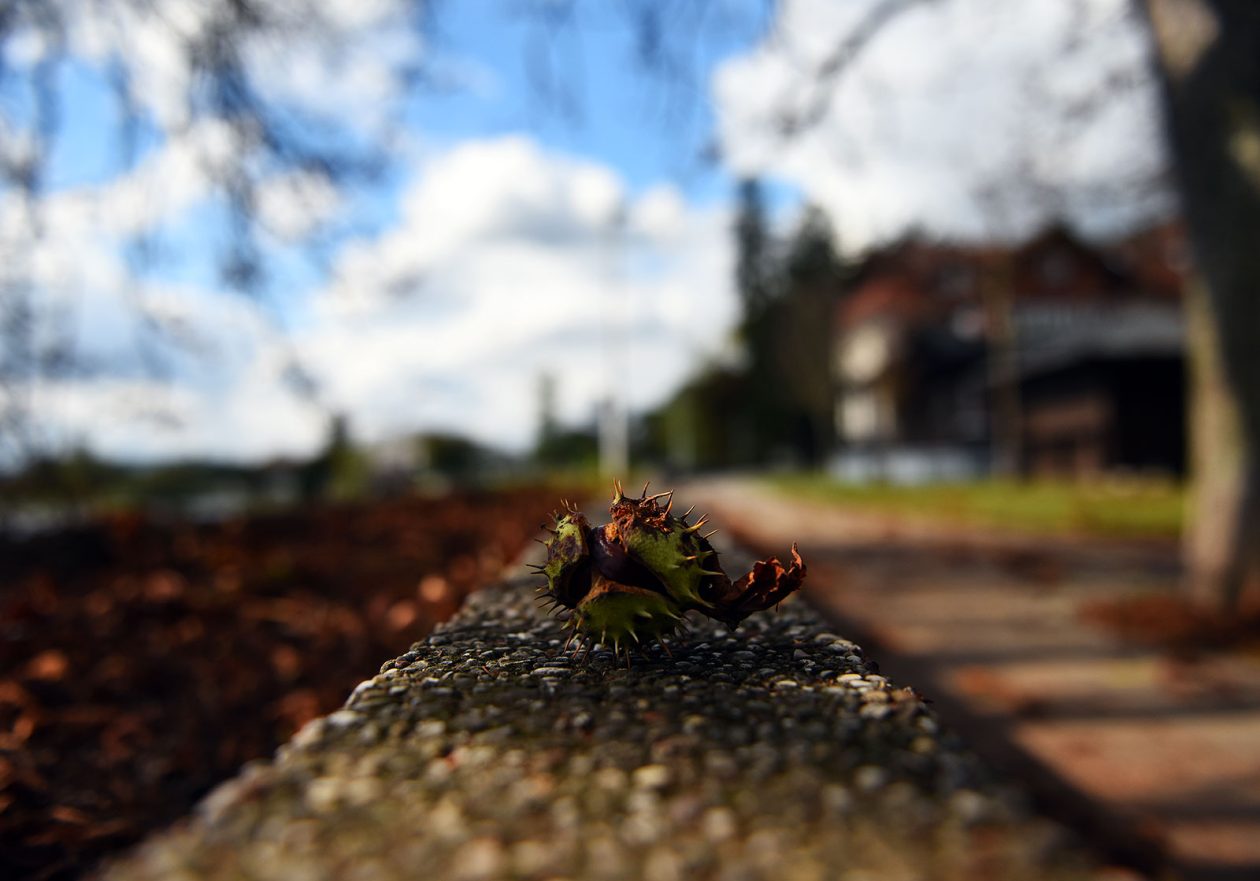 karlovackim ulicama jesen (15)