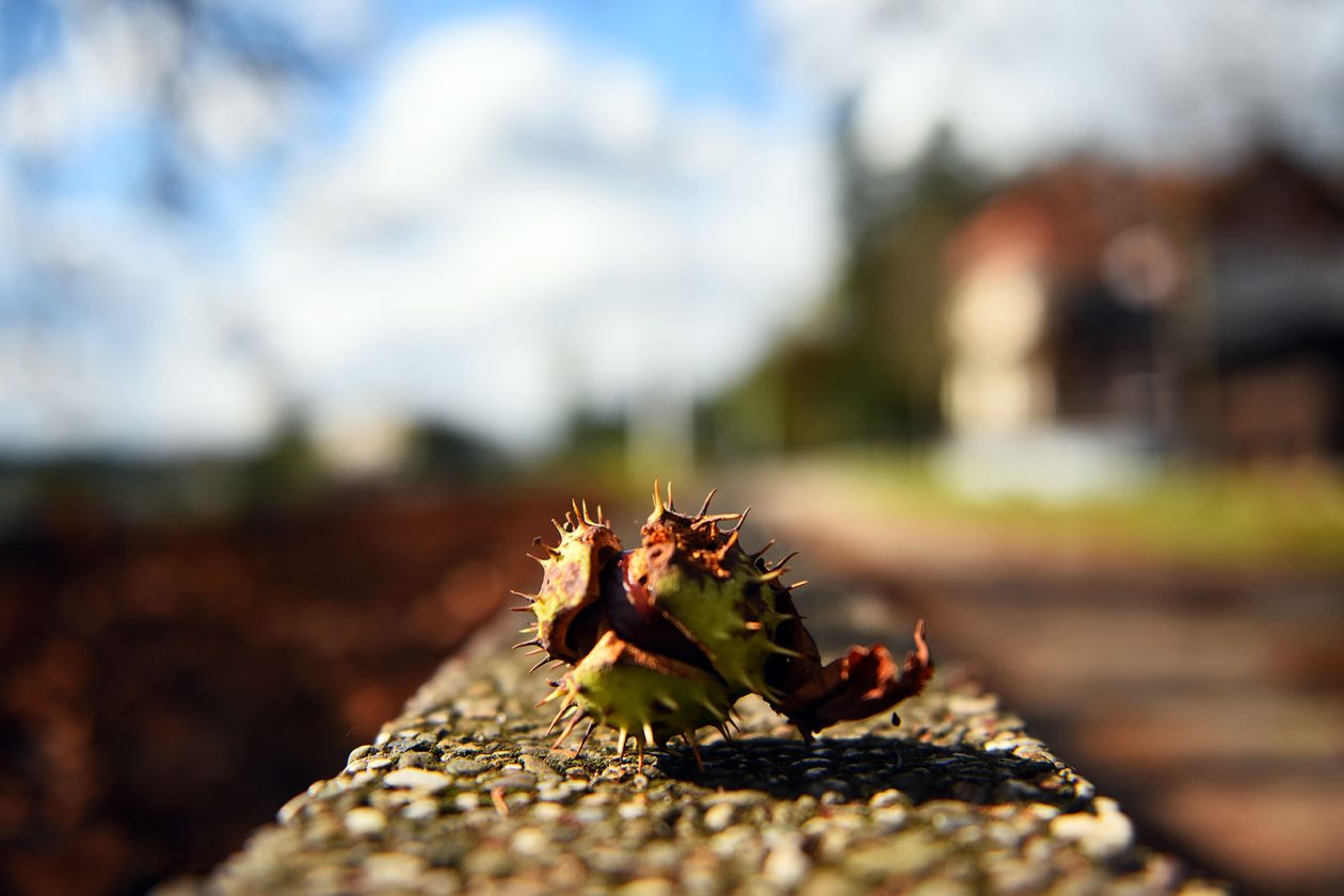 karlovackim ulicama jesen (16)