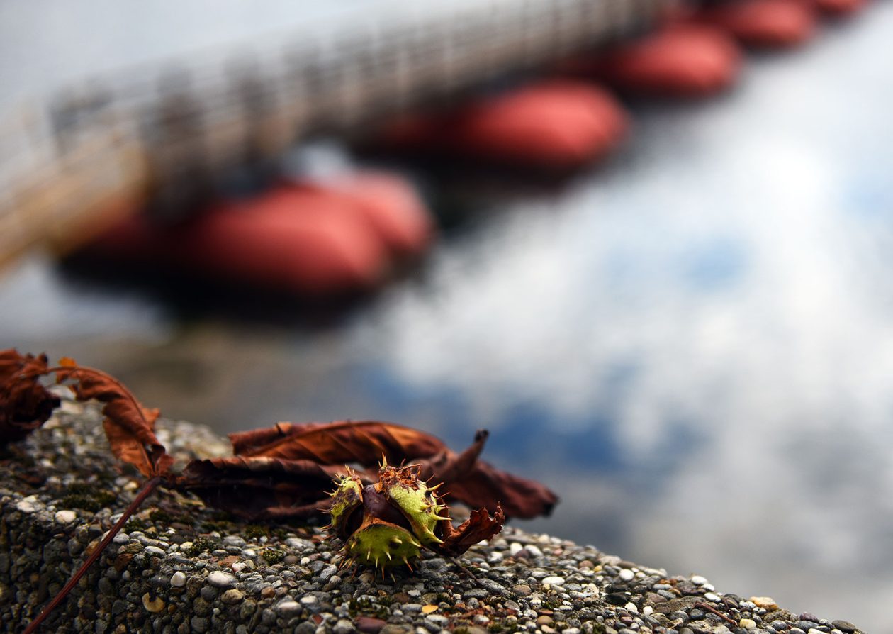 karlovackim ulicama jesen (17)