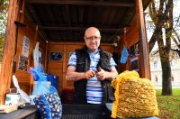 karlovackim ulicama jesen (28)