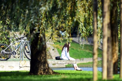 karlovackim ulicama jesen (3)