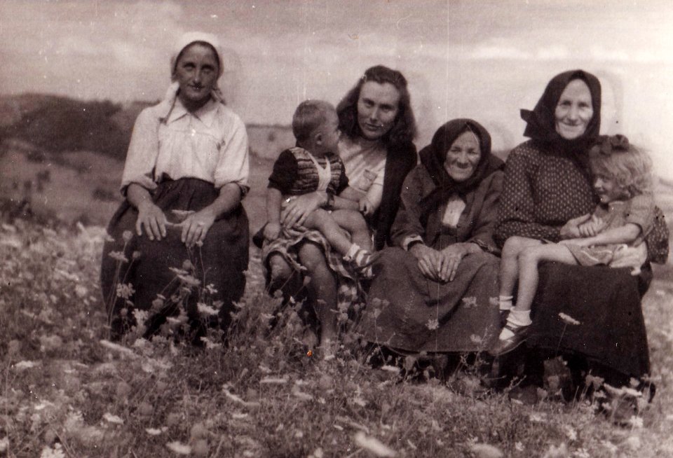 kata-kustreba-100 (12) kata-kustreba-100 (12)