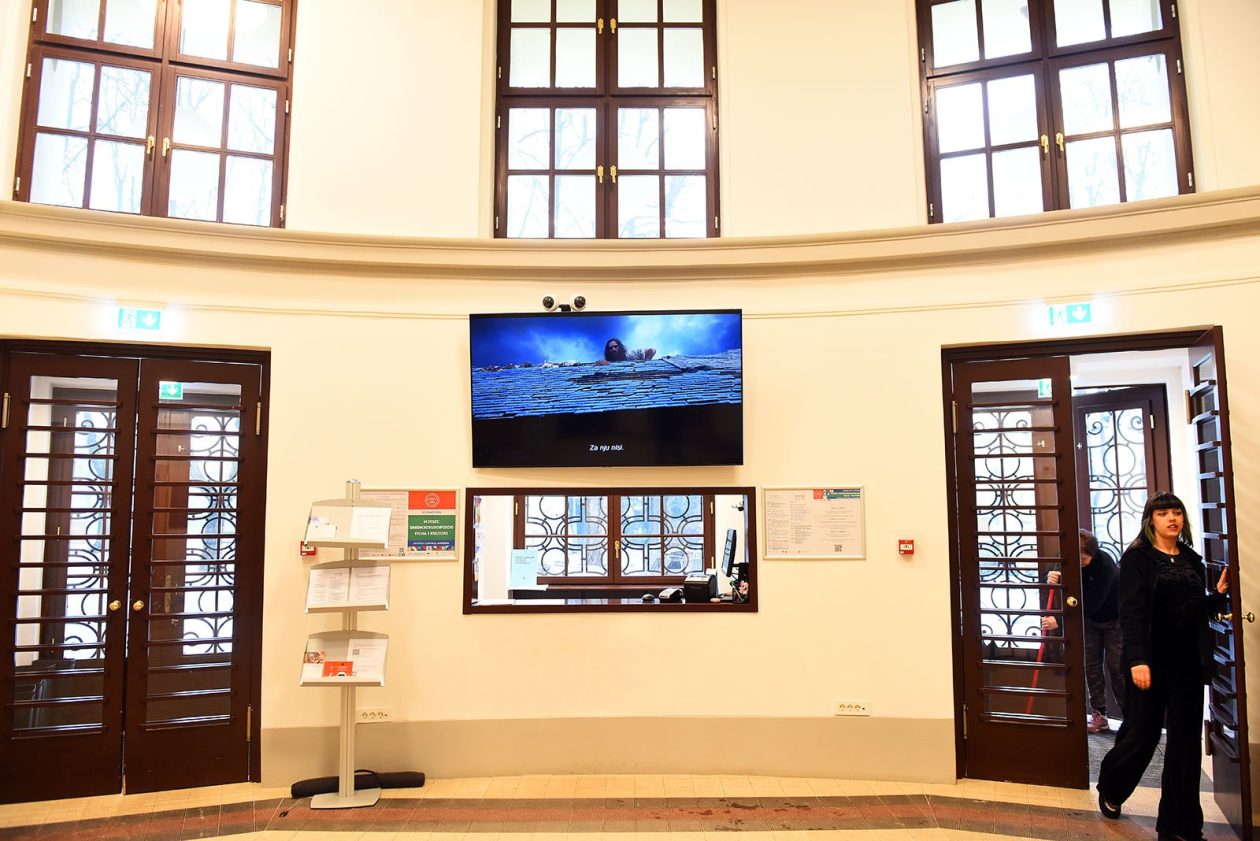 kino edison (11) kino edison (11)