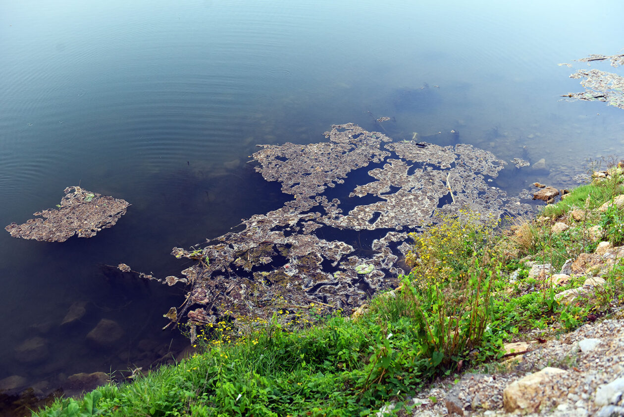 korana ladvenjak (12)