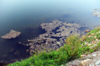 korana ladvenjak (12)