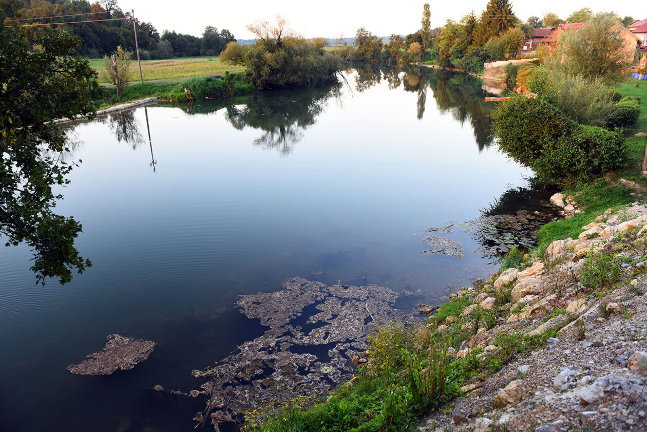 korana ladvenjak (13)