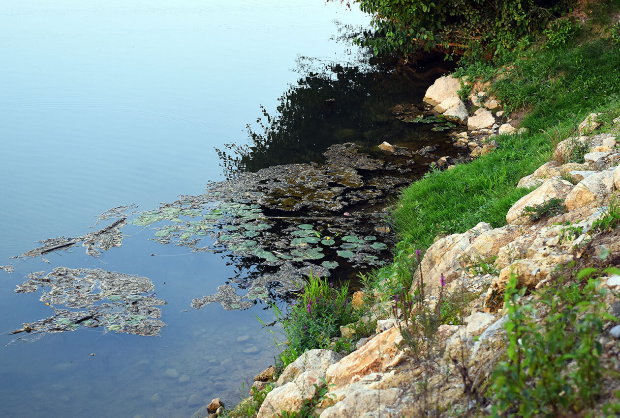 korana ladvenjak (14)