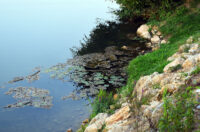 korana ladvenjak (14)