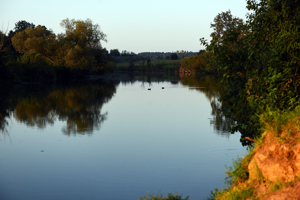 korana ladvenjak (6)