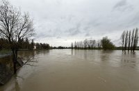 korana visoki vodostaj (1)