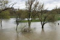 korana visoki vodostaj (10)