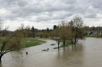 korana visoki vodostaj (11)