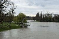 korana visoki vodostaj (13)