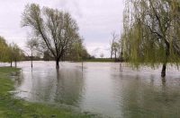 korana visoki vodostaj (3)