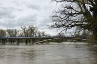 korana visoki vodostaj (5)