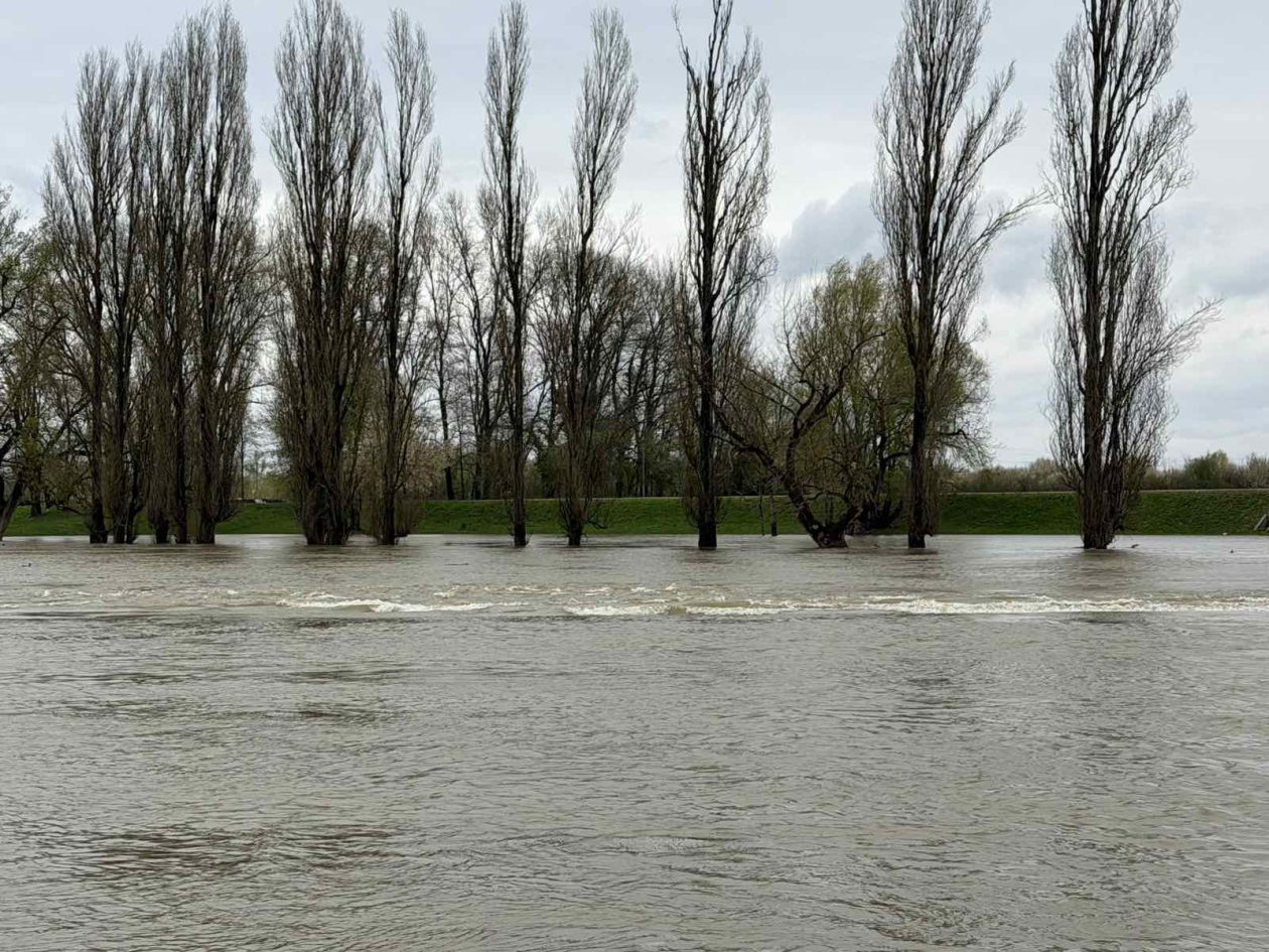 korana visoki vodostaj (6)