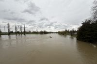 korana visoki vodostaj (7)