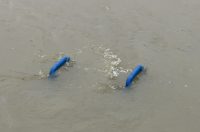 korana visoki vodostaj (8)