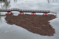 korana vodostaj (12) korana vodostaj (12)