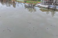 korana vodostaj (13) korana vodostaj (13)