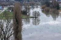 korana vodostaj (19) korana vodostaj (19)