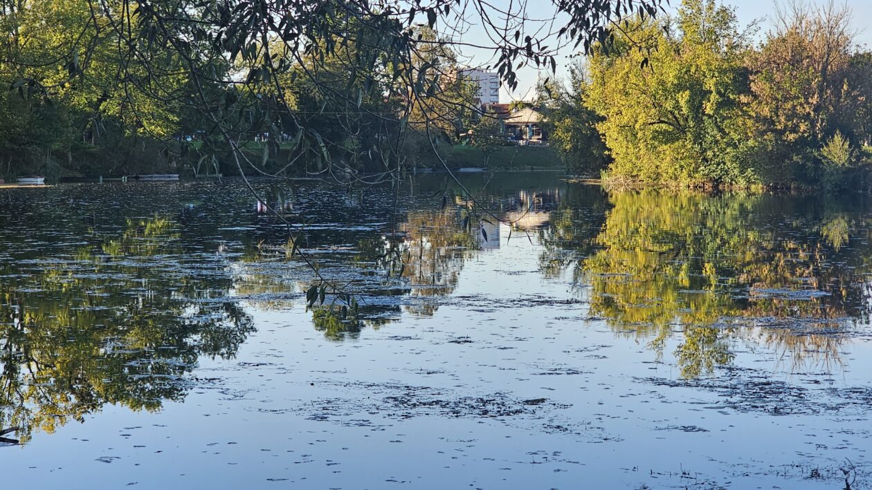 korana zagadjenje (2)