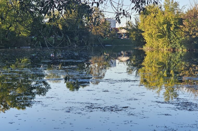 korana zagadjenje (2)