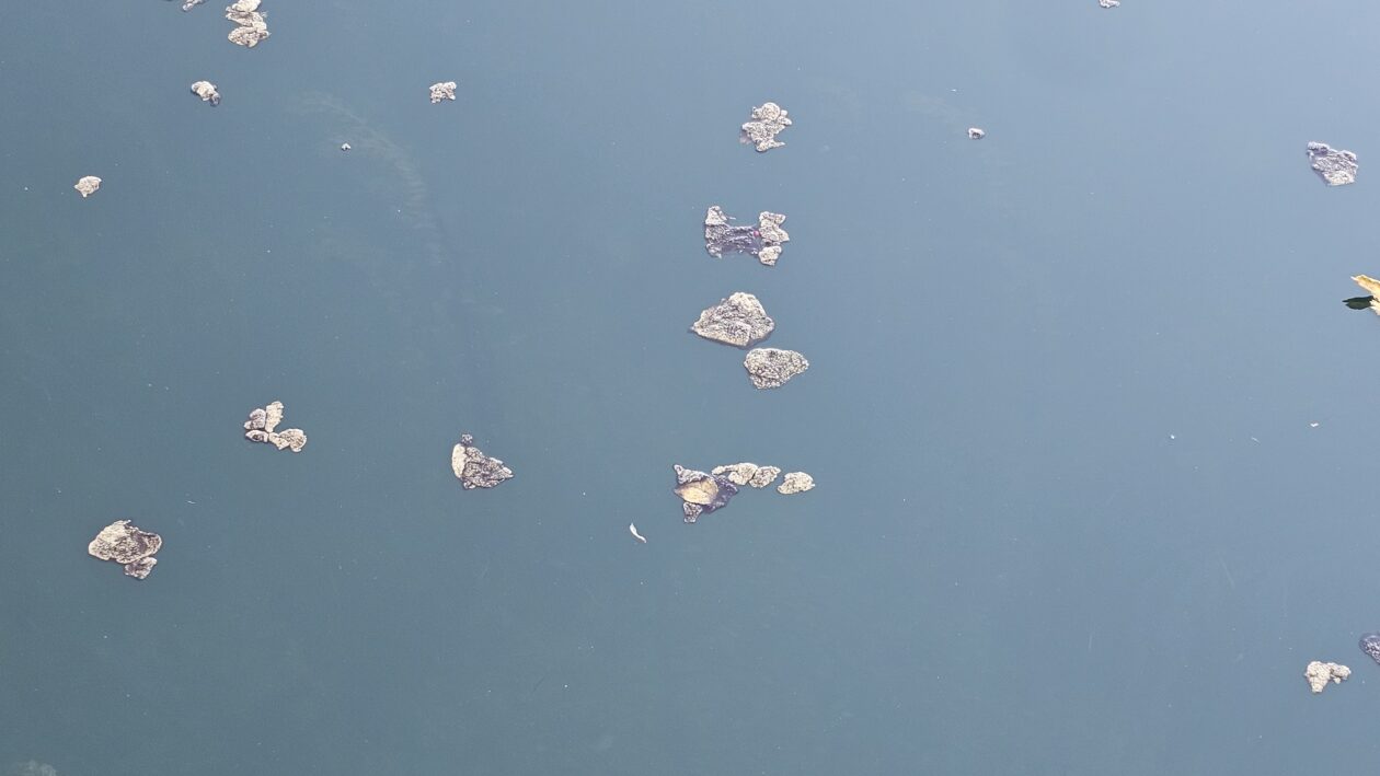 korana zagadjenje (4)