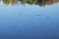 korana zagadjenje (7)