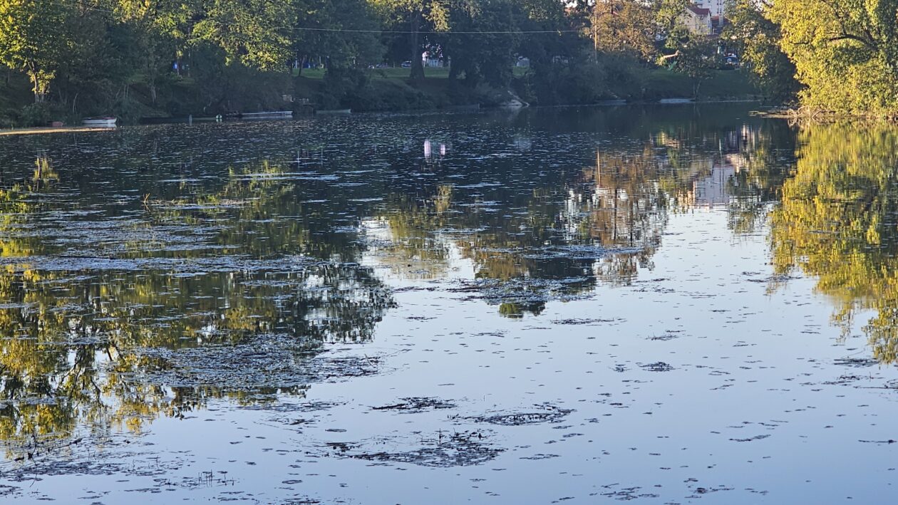 korana zagadjenje (8)