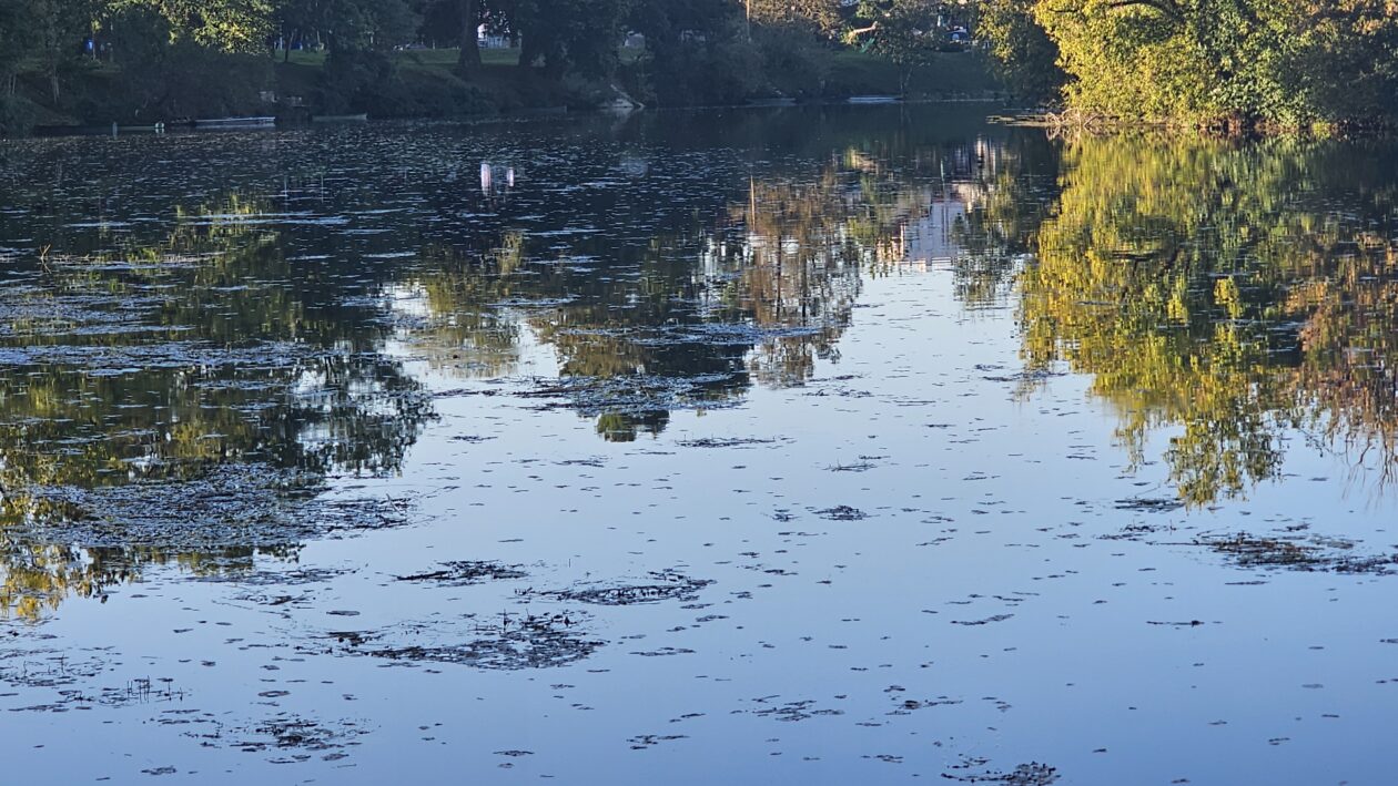 korana zagadjenje (9)