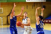 kosarka (12)