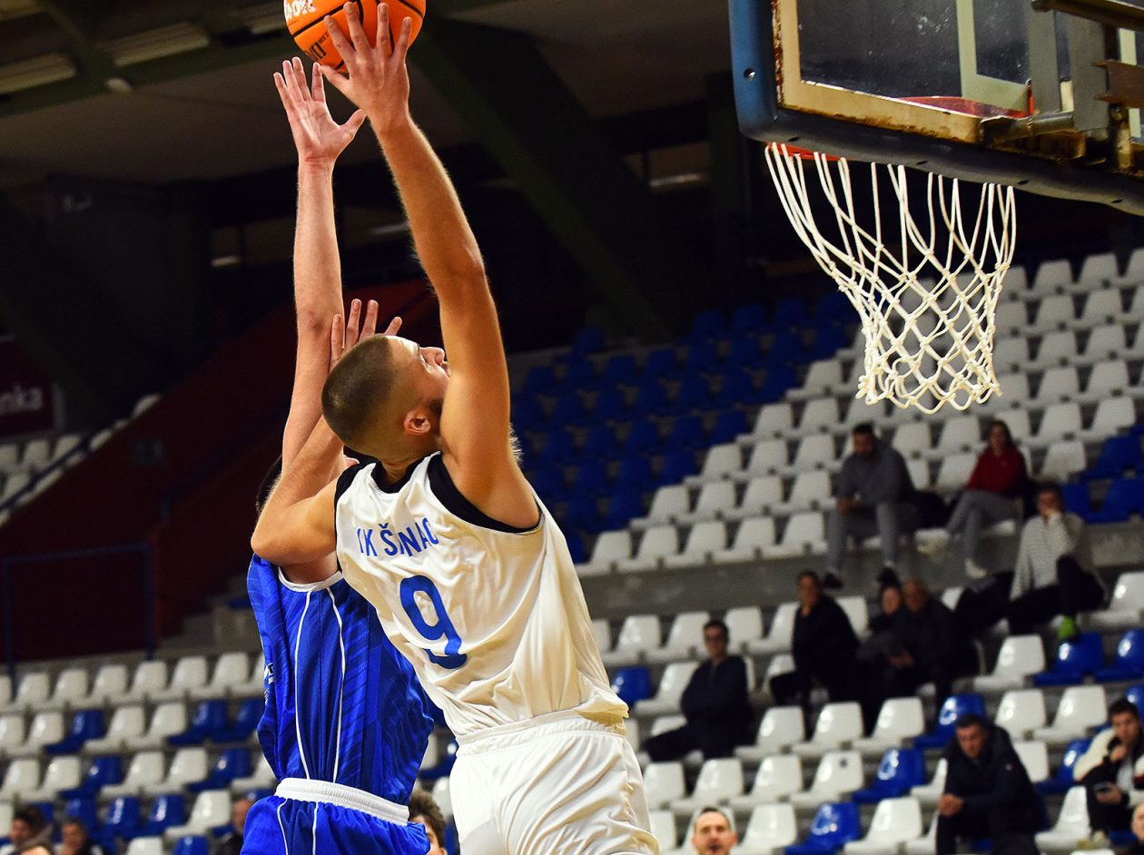 kosarka (12) kosarka (12)