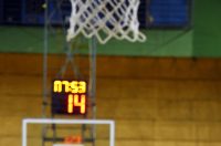 kosarka (19)