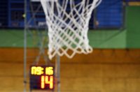 kosarka (8)
