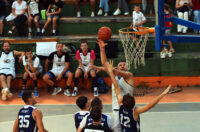 kosarka ljetna liga (0)