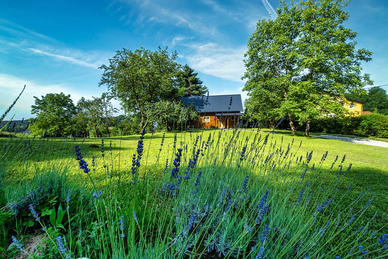 kuca maruskic kulas (10)