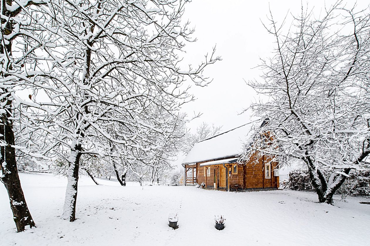 kuca maruskic kulas (2)