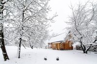 kuca maruskic kulas (2)