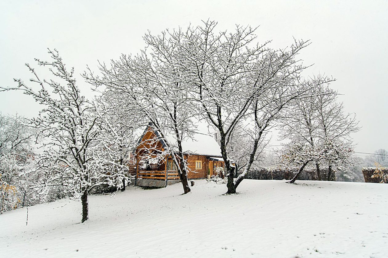 kuca maruskic kulas (4)