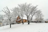 kuca maruskic kulas (4)