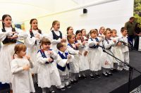 kuglana mostanje (18)