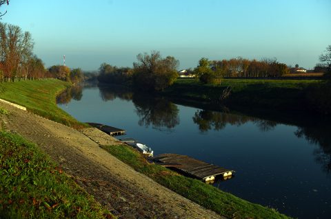 kupa kvaka (7) kupa kvaka (7)