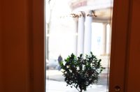 la trattoria monika culig (9) la trattoria monika culig (9)