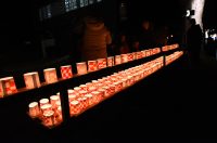 lampioni vukovar (11)