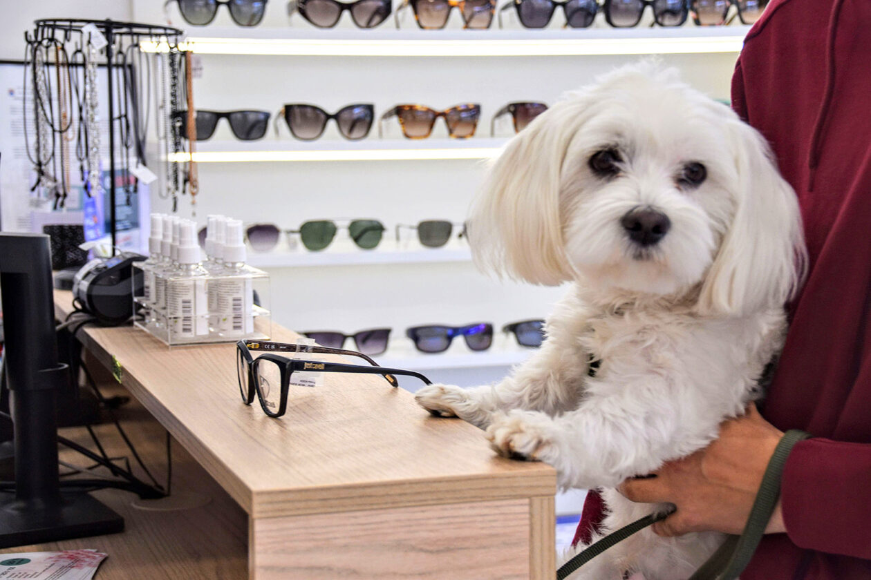 majstor optike (9) majstor optike (9)